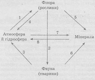 http://subject.com.ua/chemistry/zno/zno.files/image991.jpg